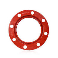 Anillo Hierro para Brida 4