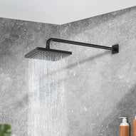 Aspersion con Brazo Sena Negro Pfister 015SENB